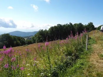 Le Grand Ballon (France)